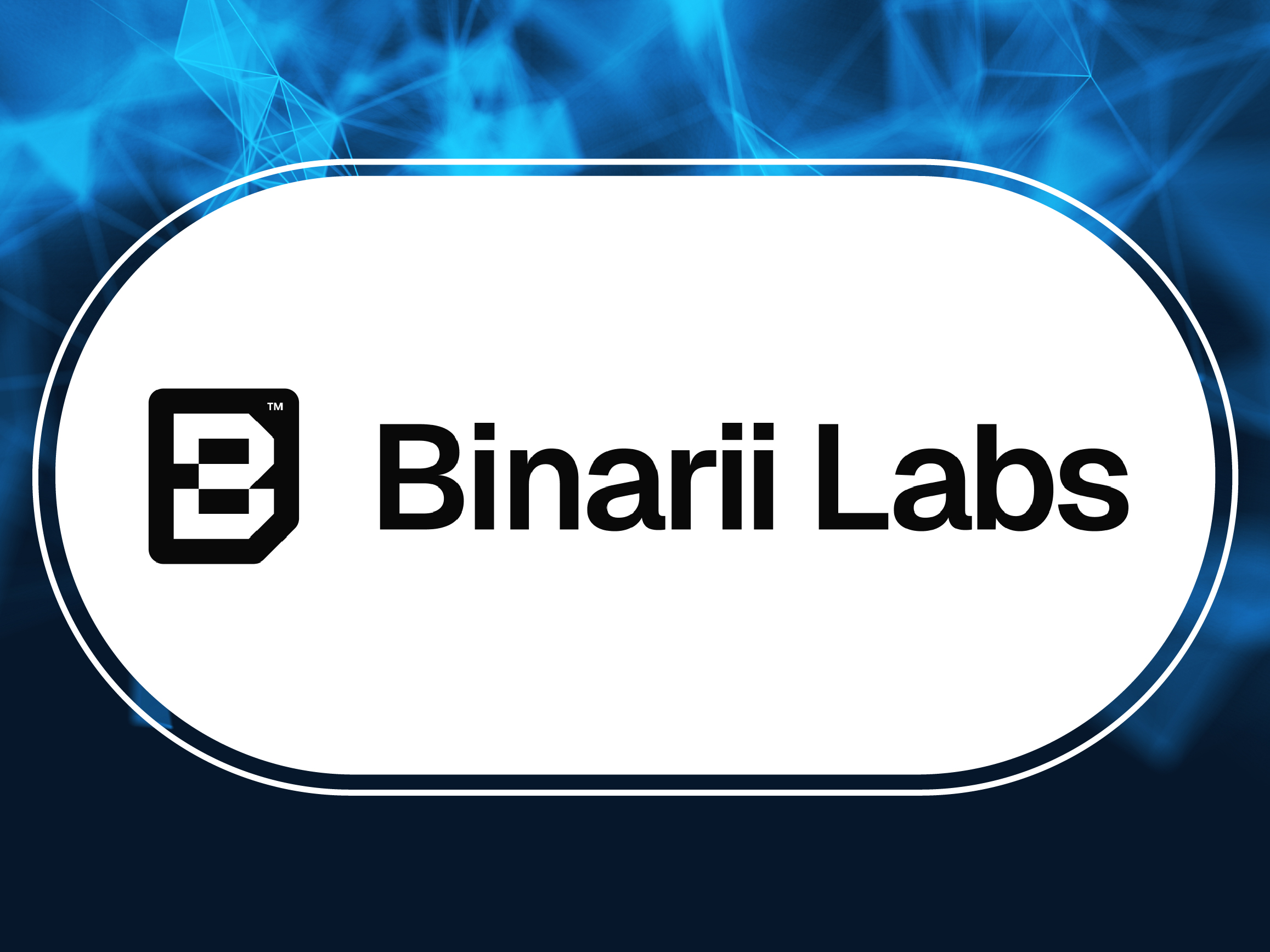  Binarii Labs
